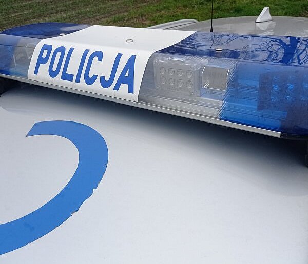 110 zarzutów dla 48-latka. Kryminalni zabezpieczyli w Gniewkowie kradzione części