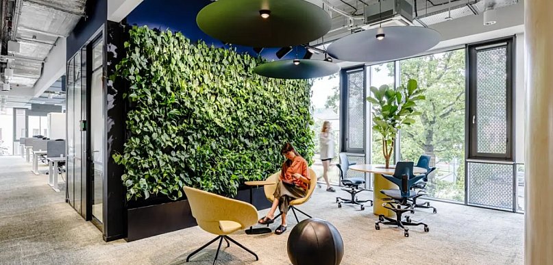 Kiedy ogród wertykalny ma sens – sprawdź, czy to rozwiązanie pasuje