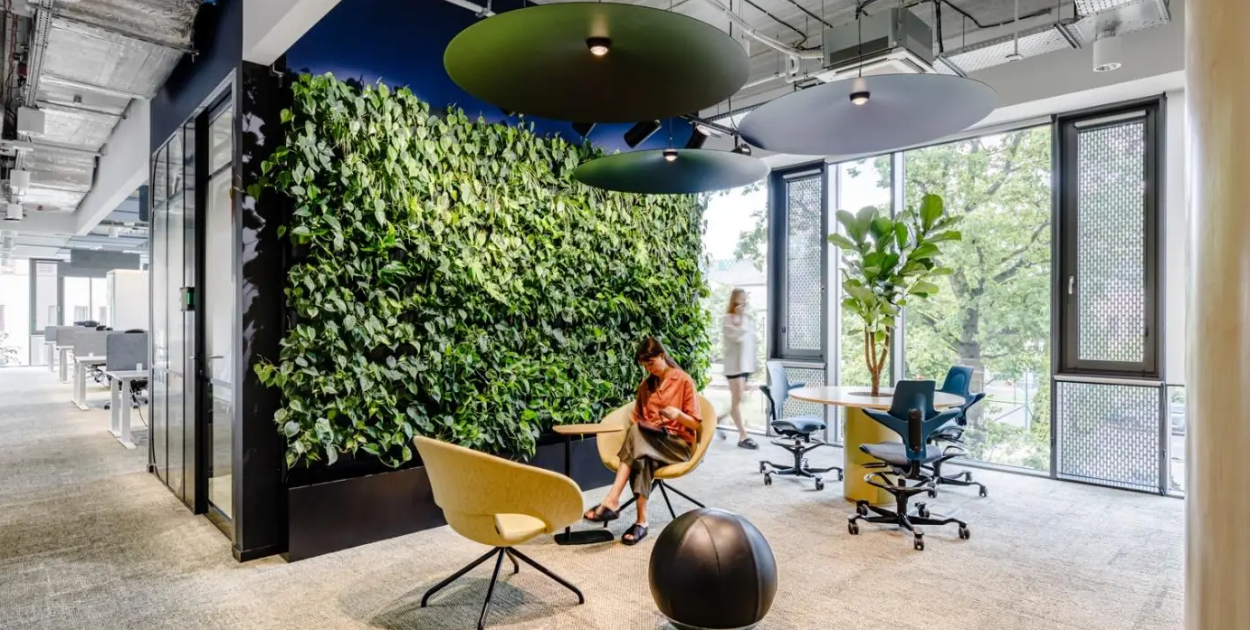 Kiedy ogród wertykalny ma sens – sprawdź, czy to rozwiązanie pasuje